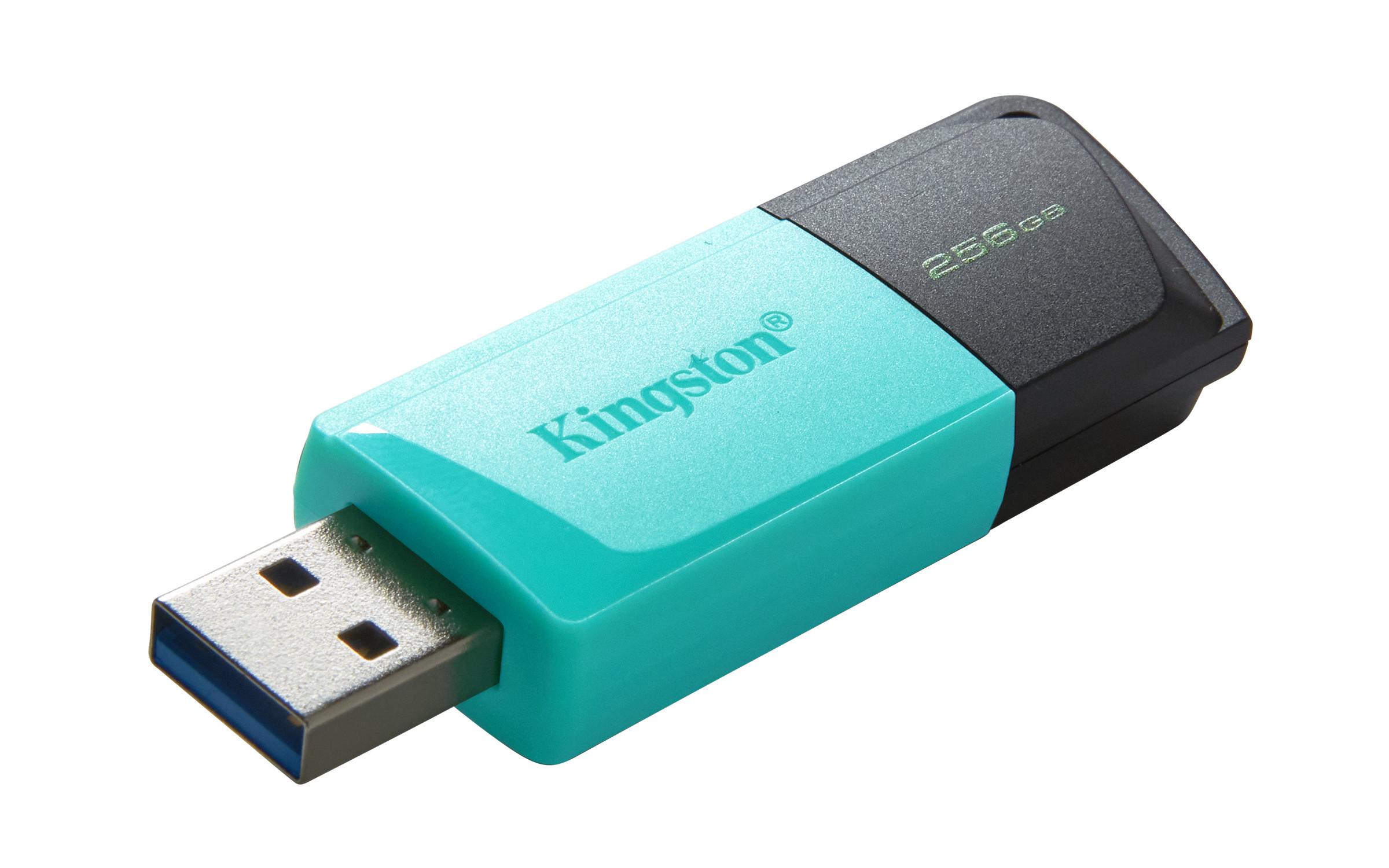 KINGSTON TECHNOLOGY Kingston Technology DataTraveler 256GB USB3.2 Gen1 Exodia M (Schwarz + Türkis)