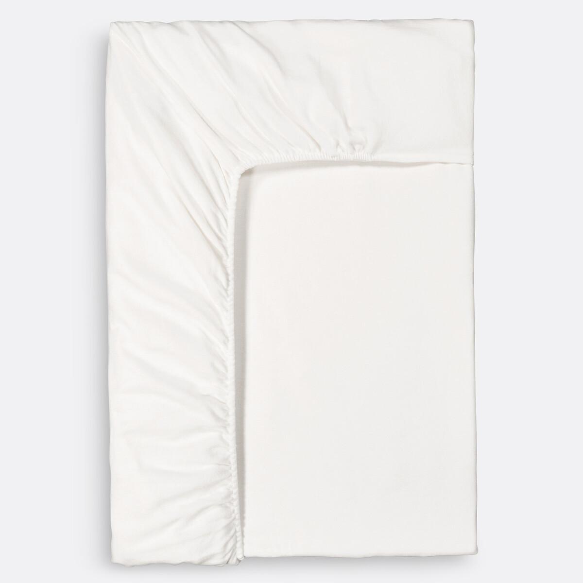 La Redoute Intérieurs Matratzenschutz aus Baumwollmolton gegen Milben H20cm