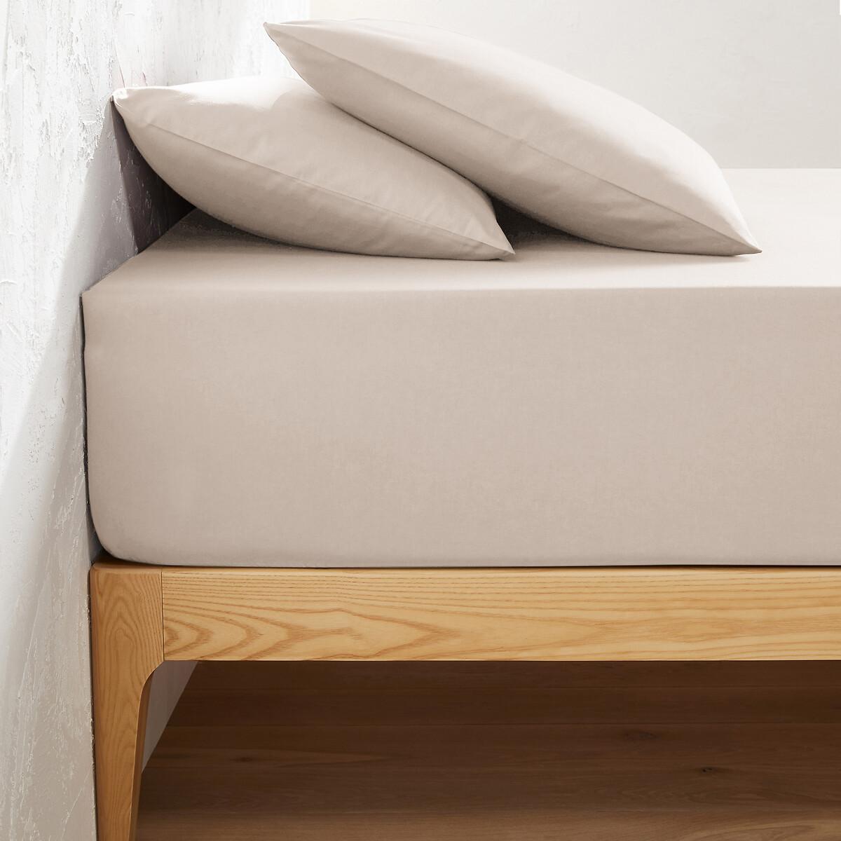 La Redoute Intérieurs Einfarbiges Fixleintuch Scenario aus Baumwolle