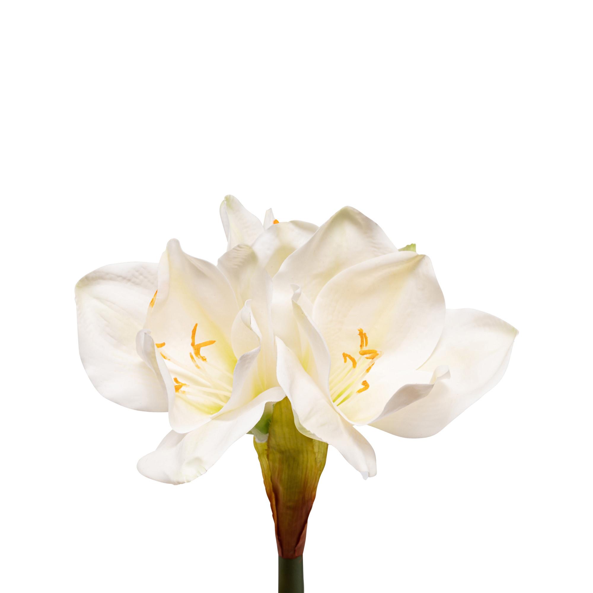 Manor Kunstblume Amaryllis