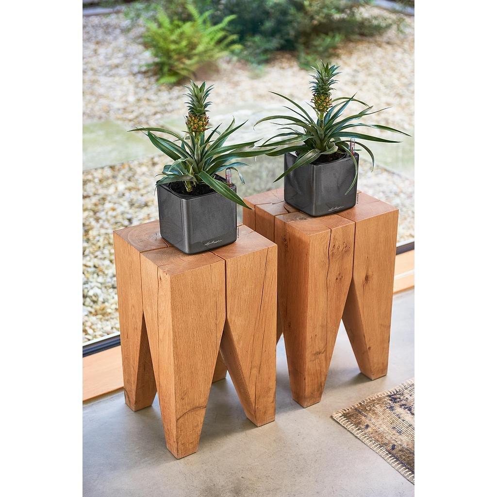 Lechuza CUBE Glossy all-in-one