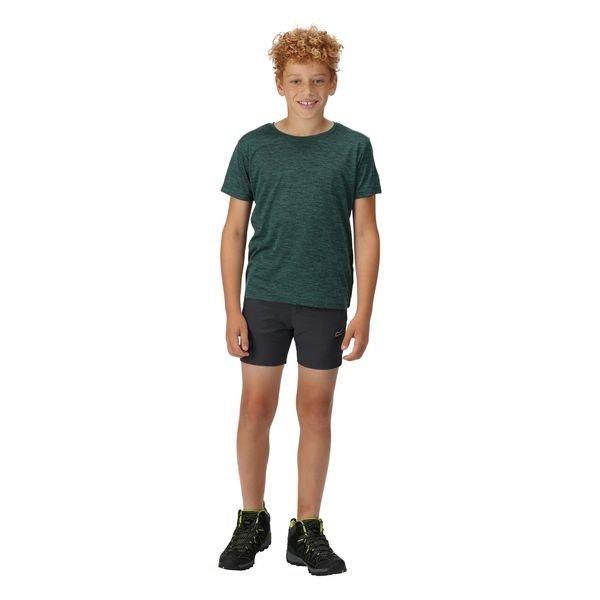 Regatta Highton Shorts