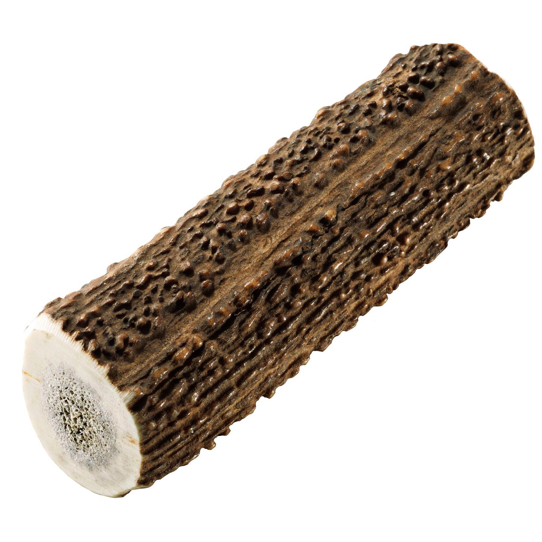 Chewies Rothirsch-Geweihstange M