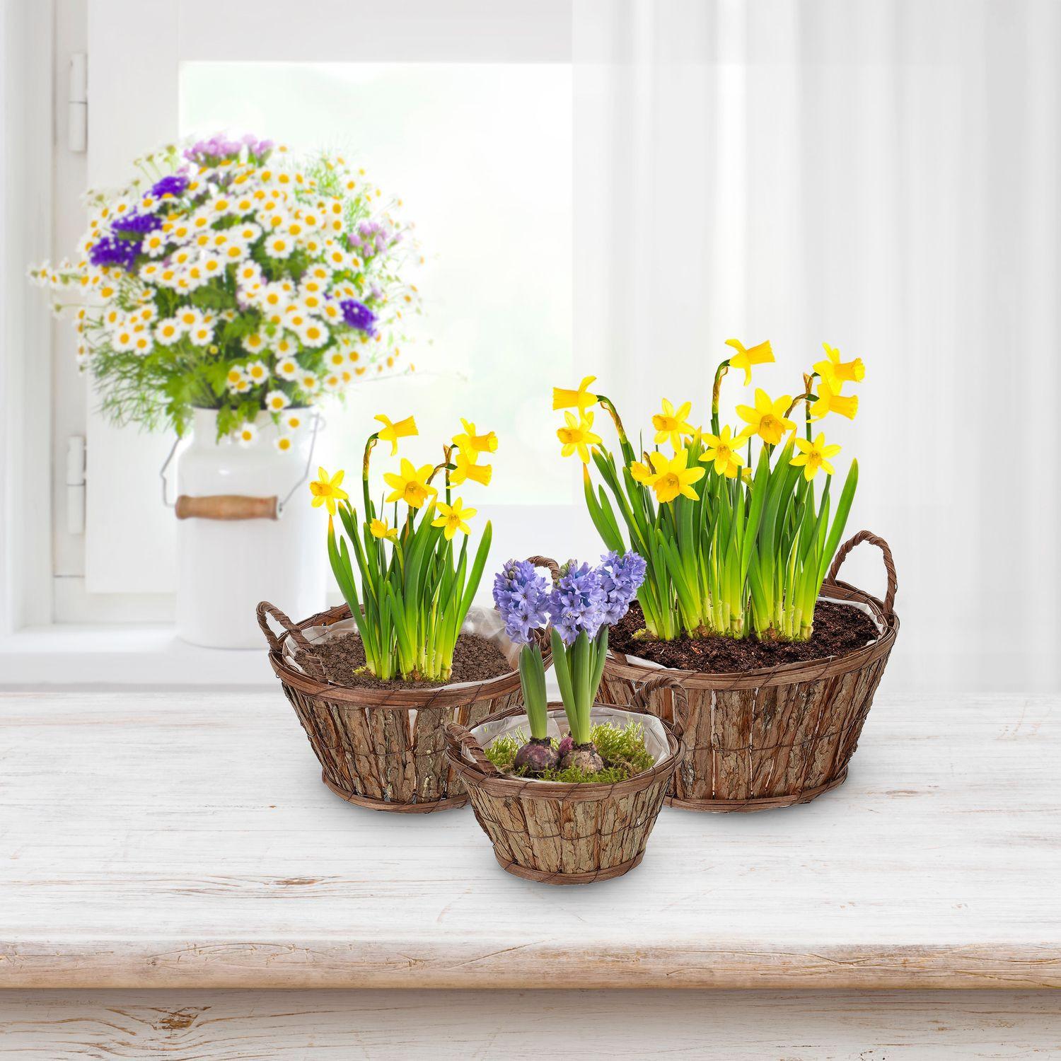 B2X Runder Blumentopf aus Holz - 3er-Set