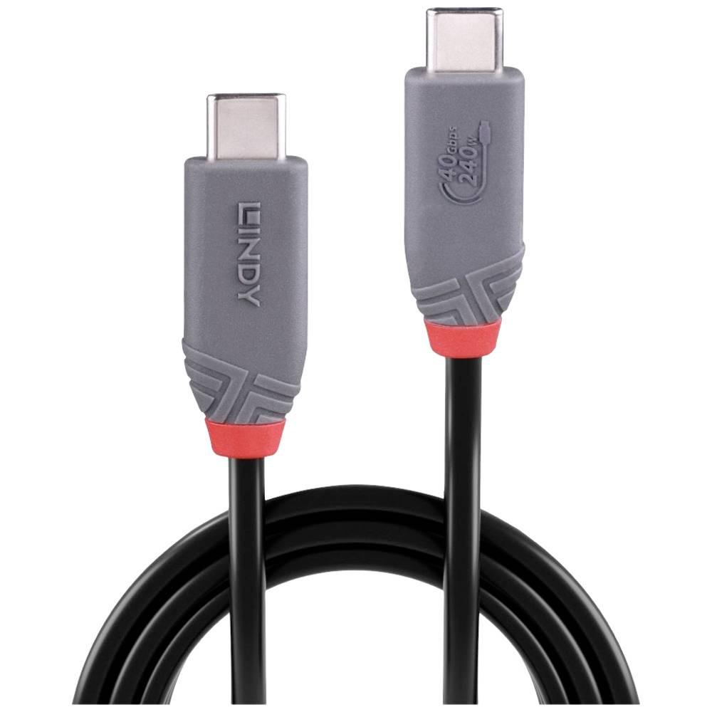 LINDY 2m USB 4 240W Typ C Kabel, Anthra Line