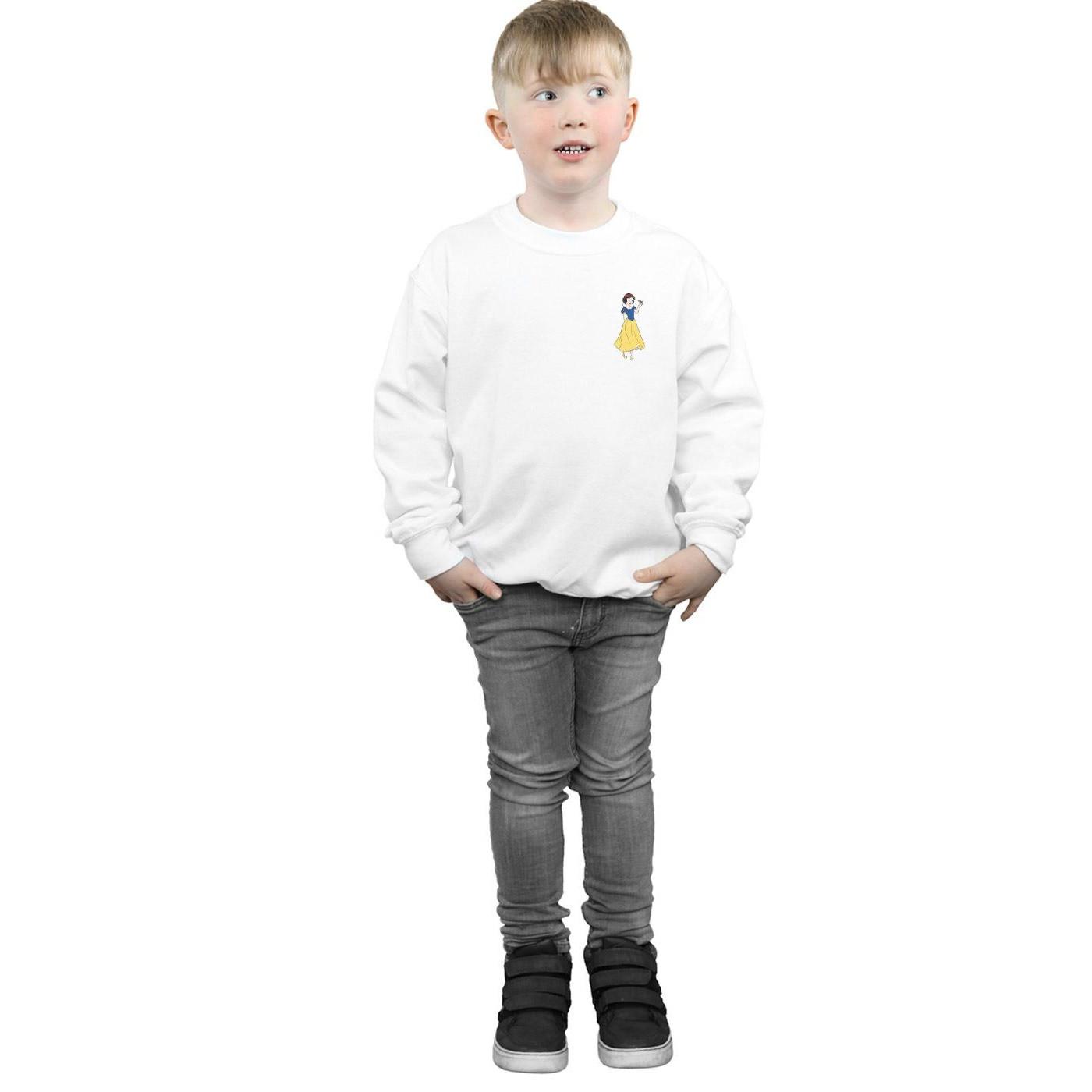 Disney PRINCESS Sweatshirt