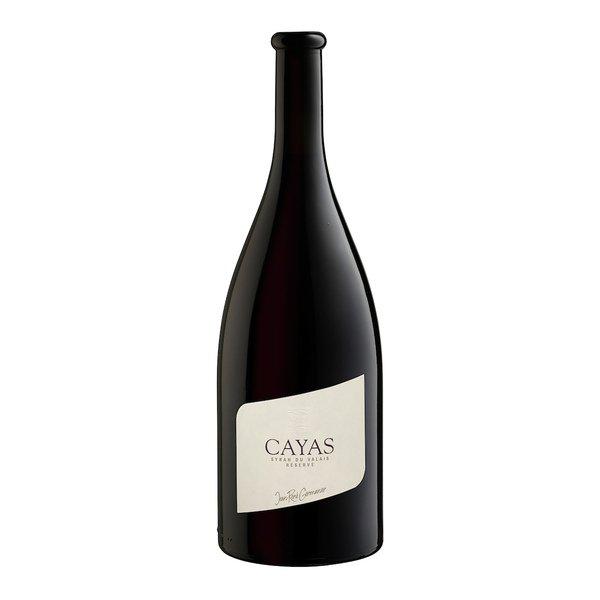 Jean-René Germanier 2020, CAYAS Syrah du Valais 150cl, Valais AOC
