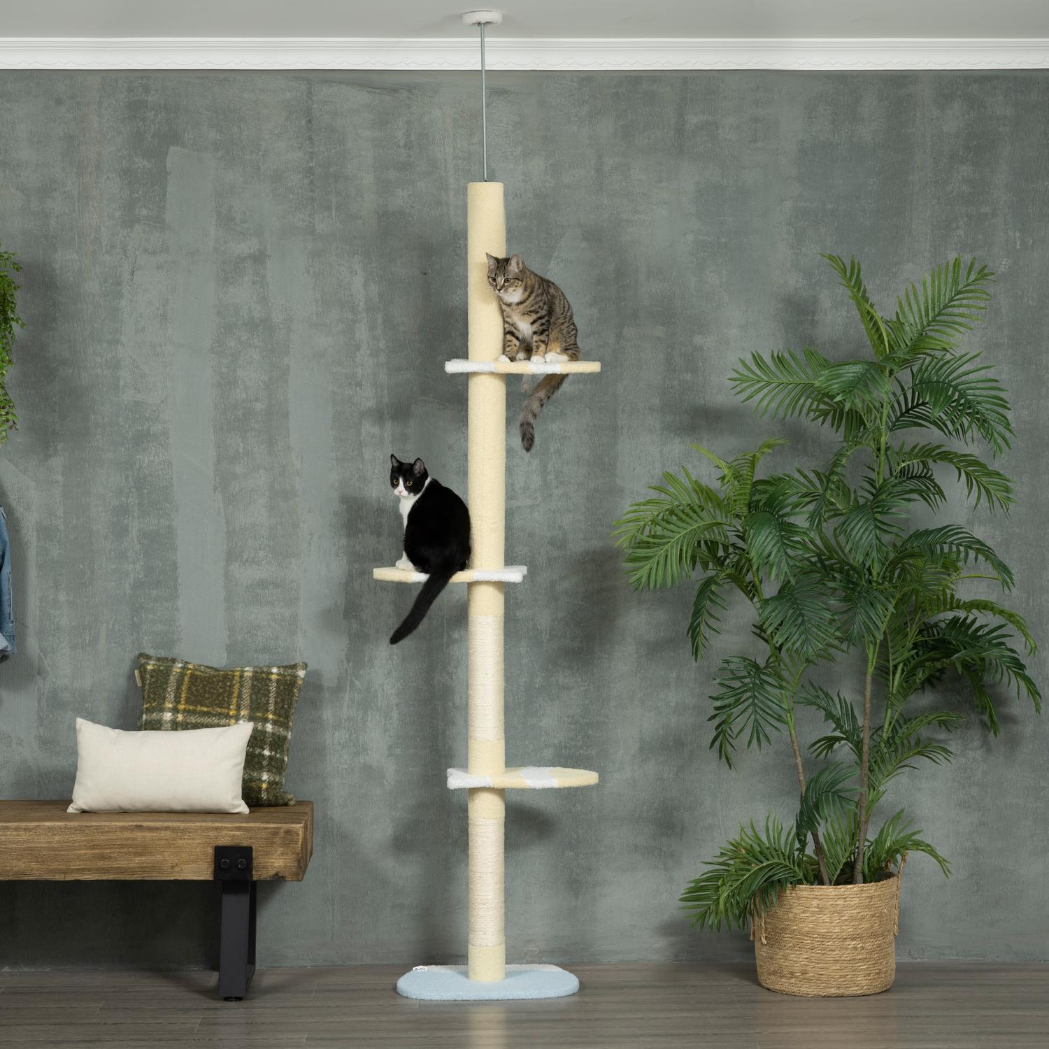 Northio Kratzbaum, Katzenkratzbaum Deckenhoch, 220-260 cm, Kletterbaum mit Spielball, Katzenbaum Höhenverstellbar, Spielbaum mit Kippschutz, Plüsch, Gelb