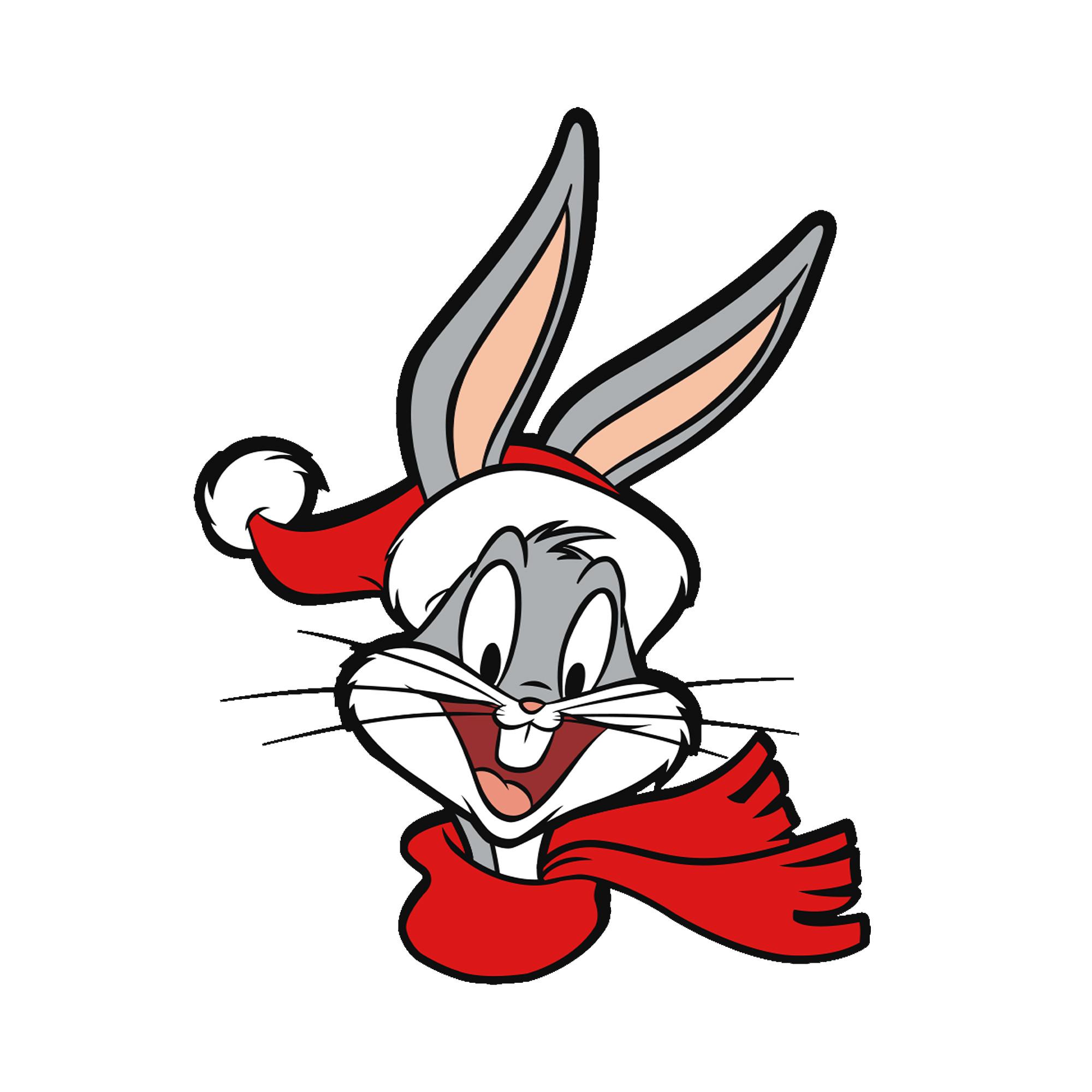 LOONEY TUNES Sweatshirt  weihnachtliches Design