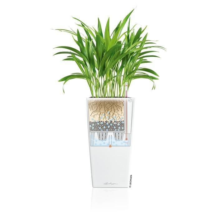 Lechuza Premium Collection CUBICO all-in-one