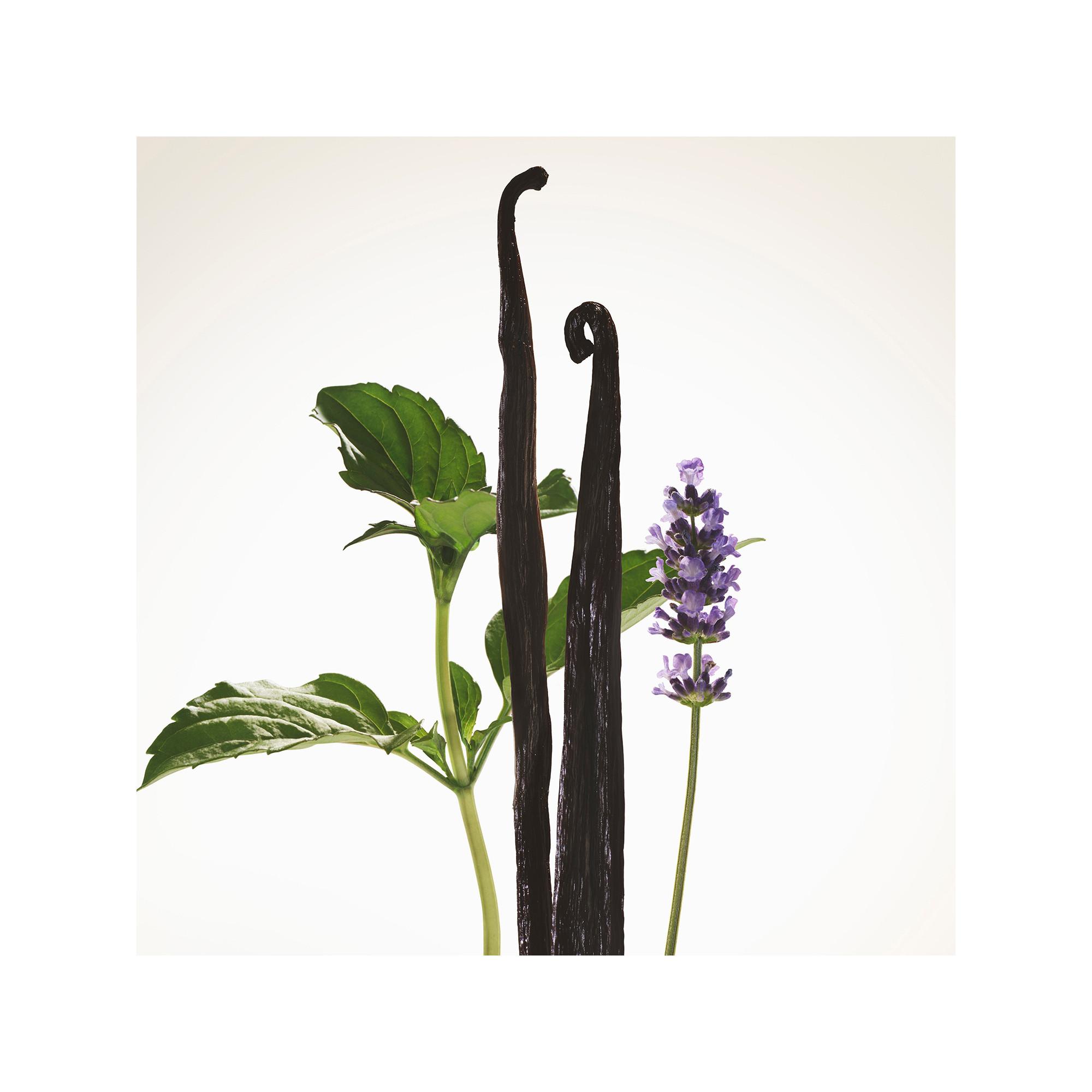 BURBERRY Goddess Eau de Parfum Intense