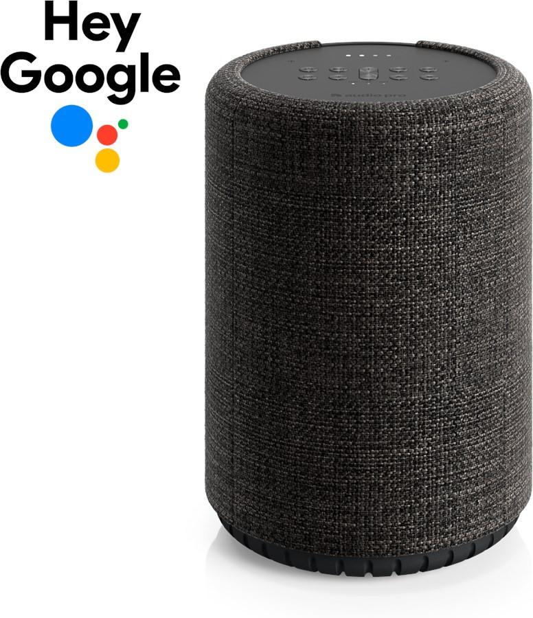 audio pro AUDIO PRO G10 14620 dark grey