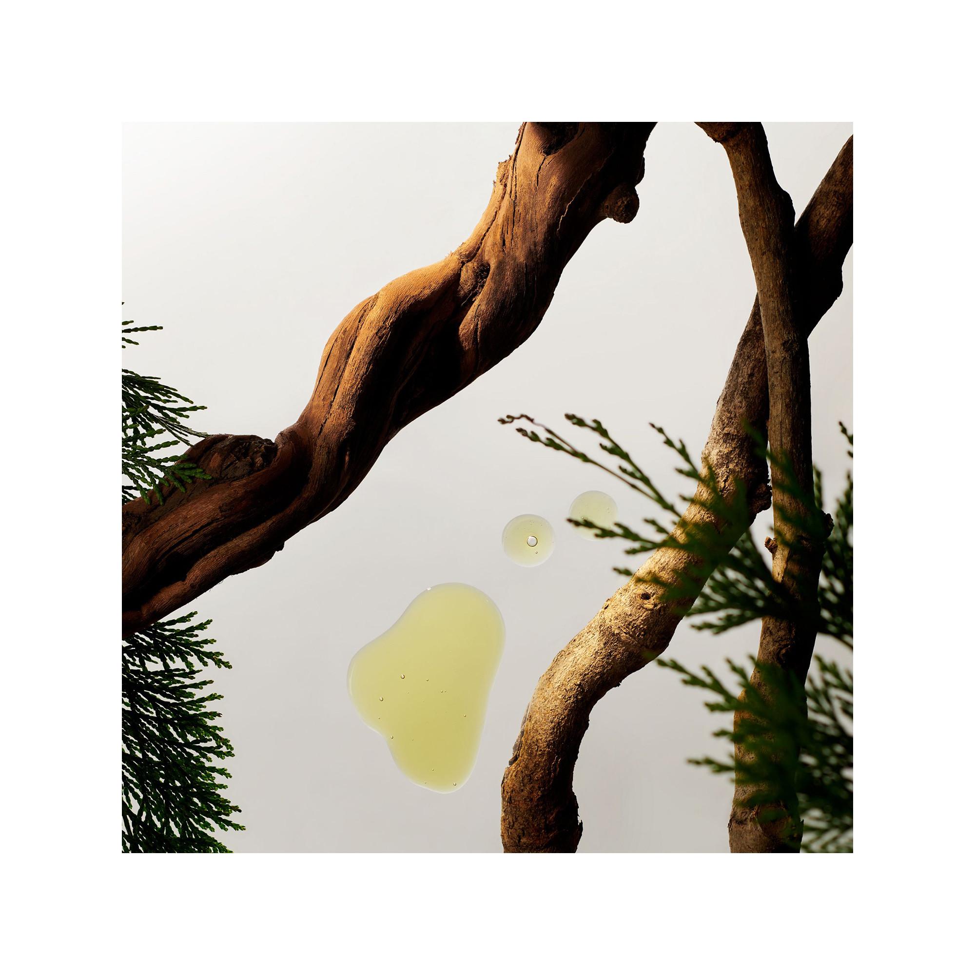 RITUALS Homme Mini Shower Foam