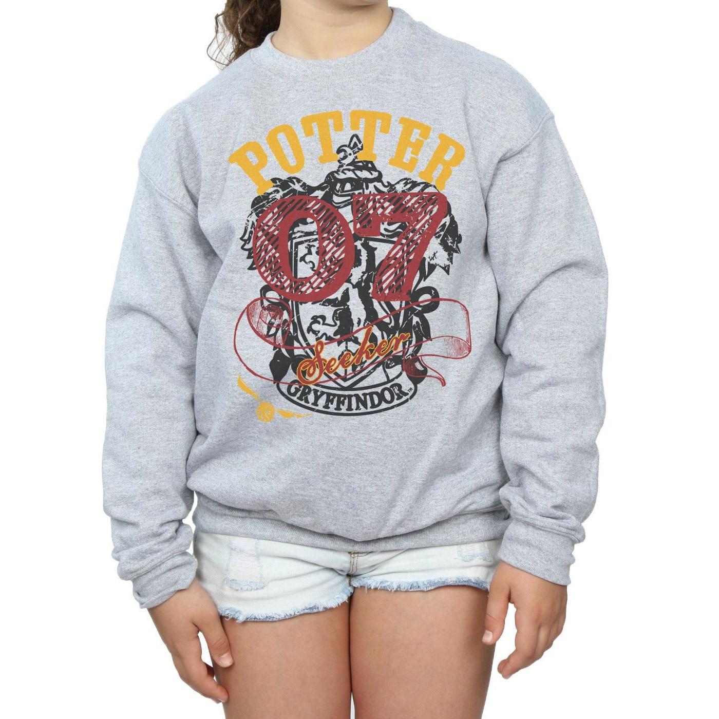 Harry Potter Gryffindor Seeker Sweatshirt