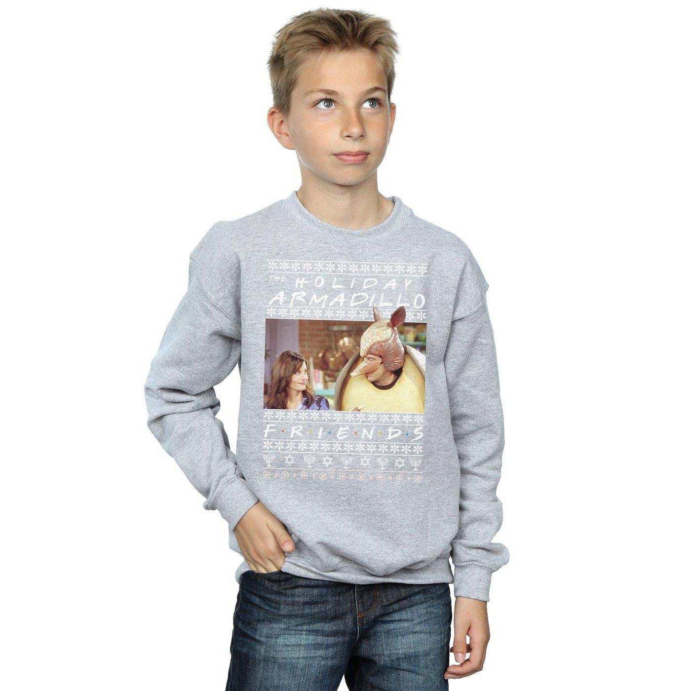 Friends Holiday Armadillo Sweatshirt