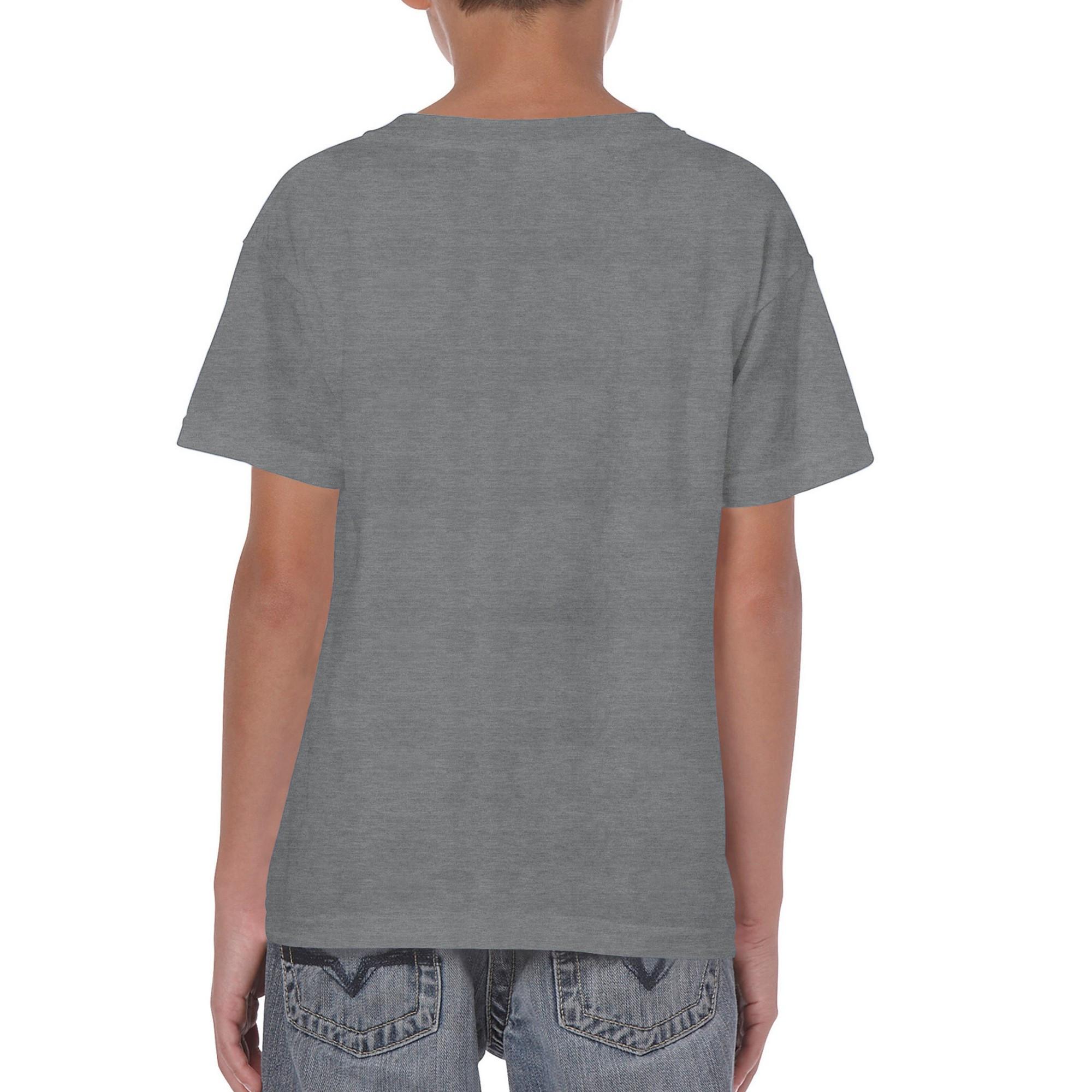 Gildan Heavy TShirt