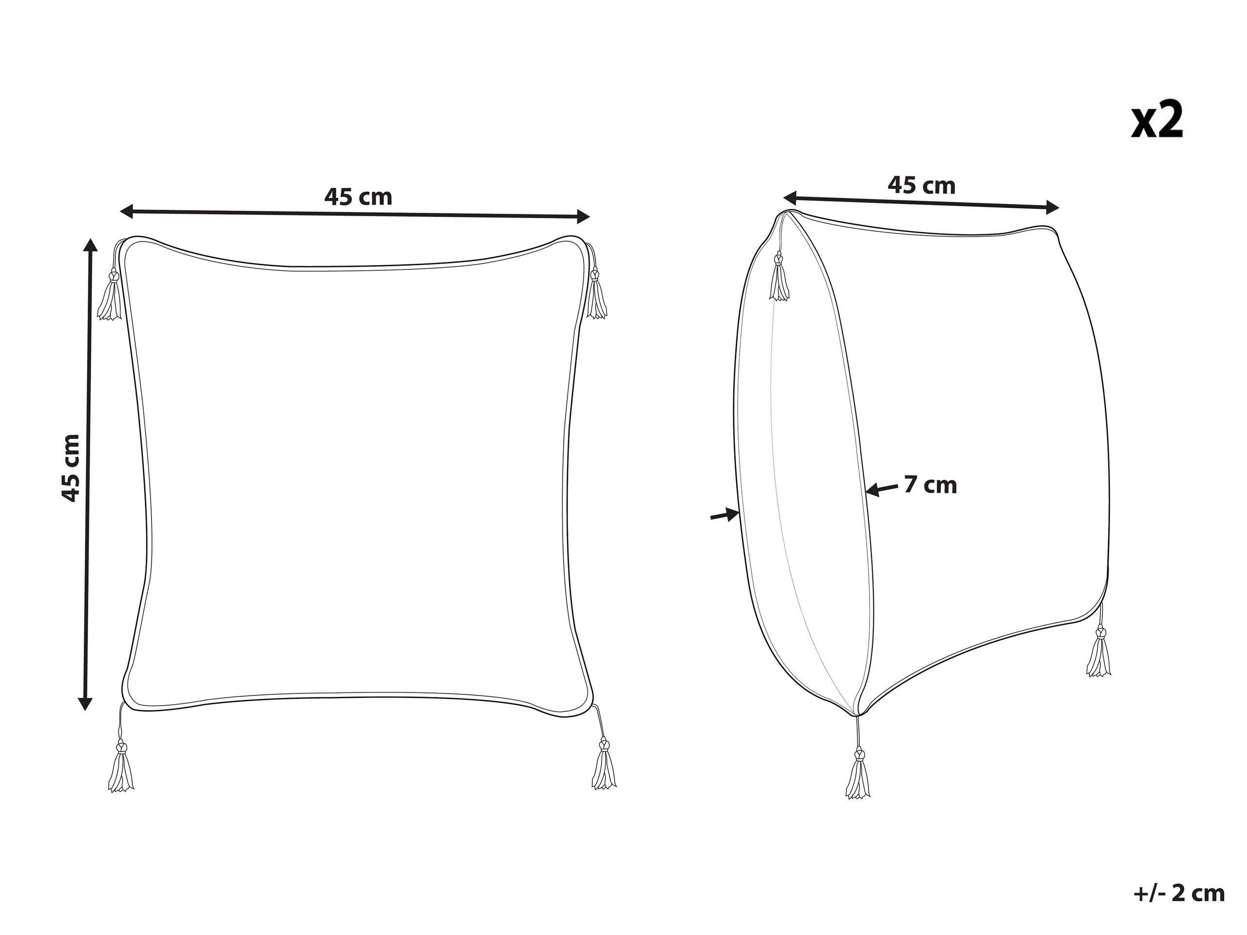 Beliani Dekokissen 2er Set aus Samtstoff Modern SCHEFFLERA