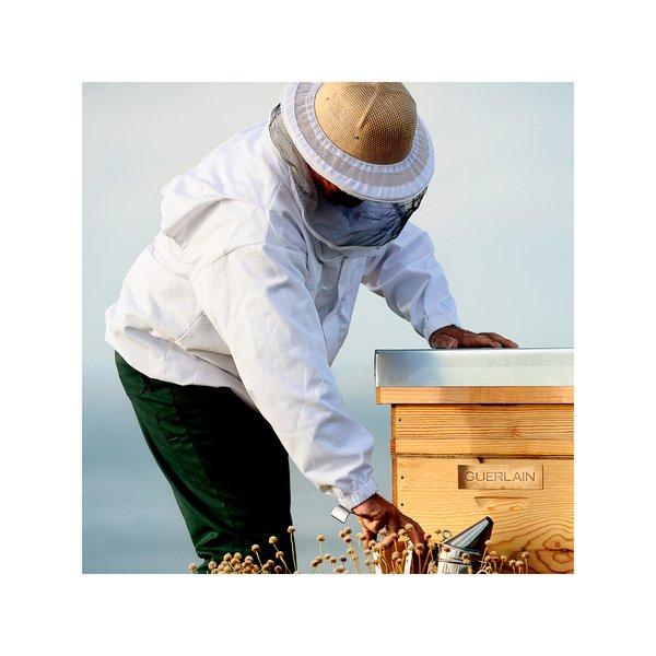 Guerlain Abeille Royale Double R Eye Serum