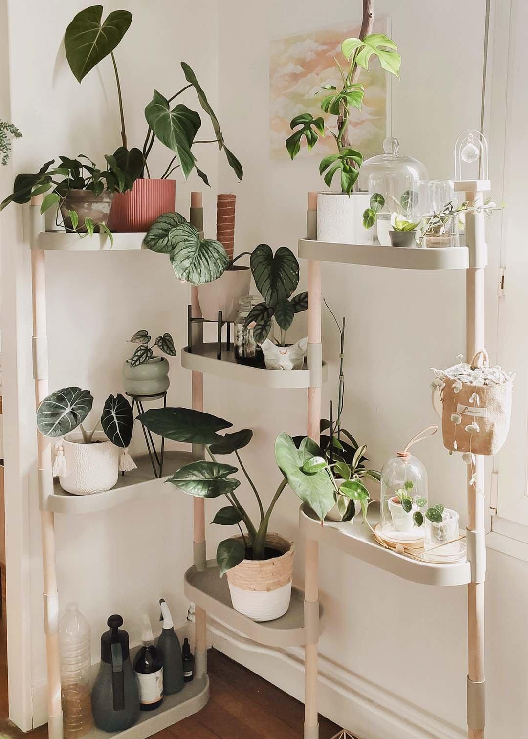 CitySens Pflanzenregal