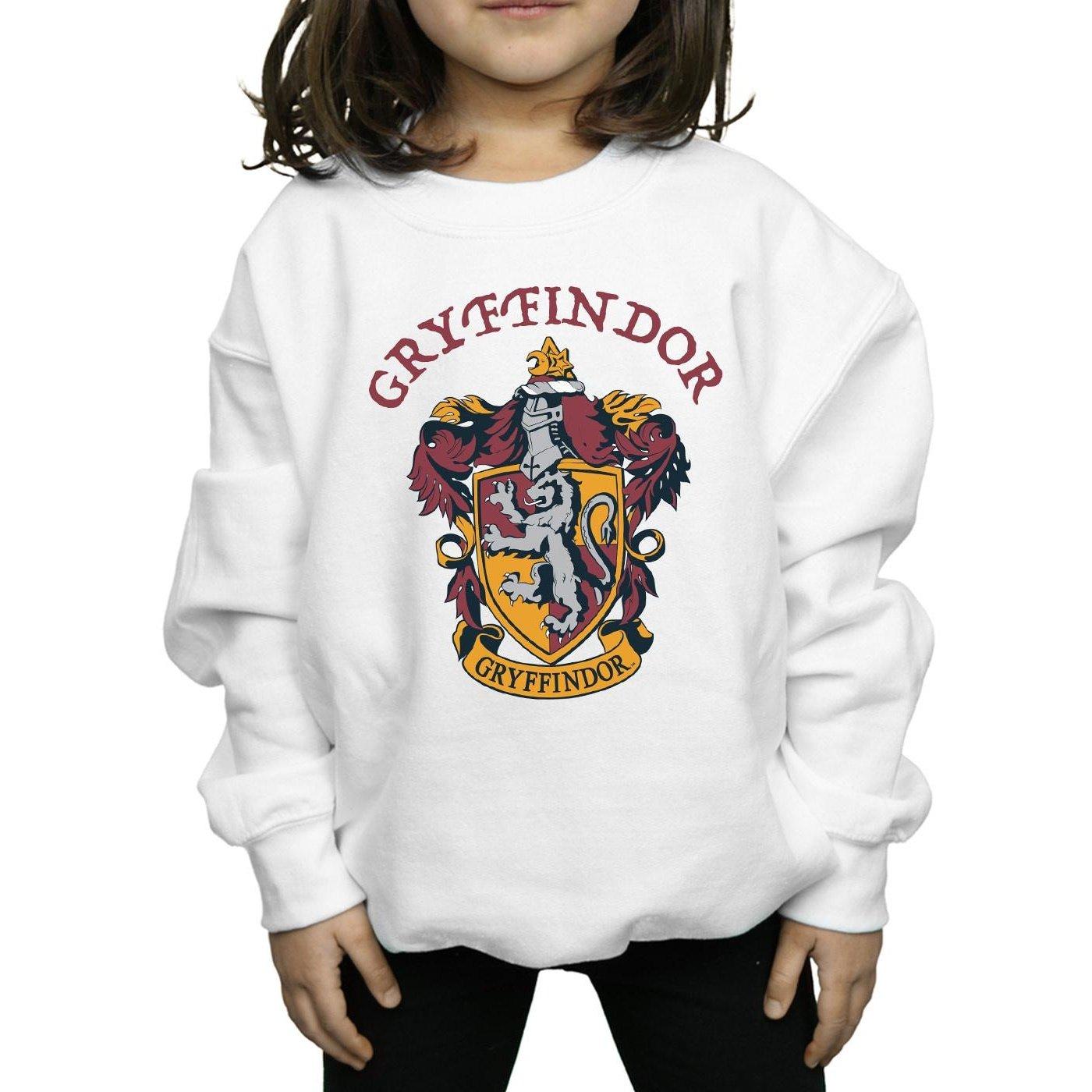 Harry Potter Sweatshirt