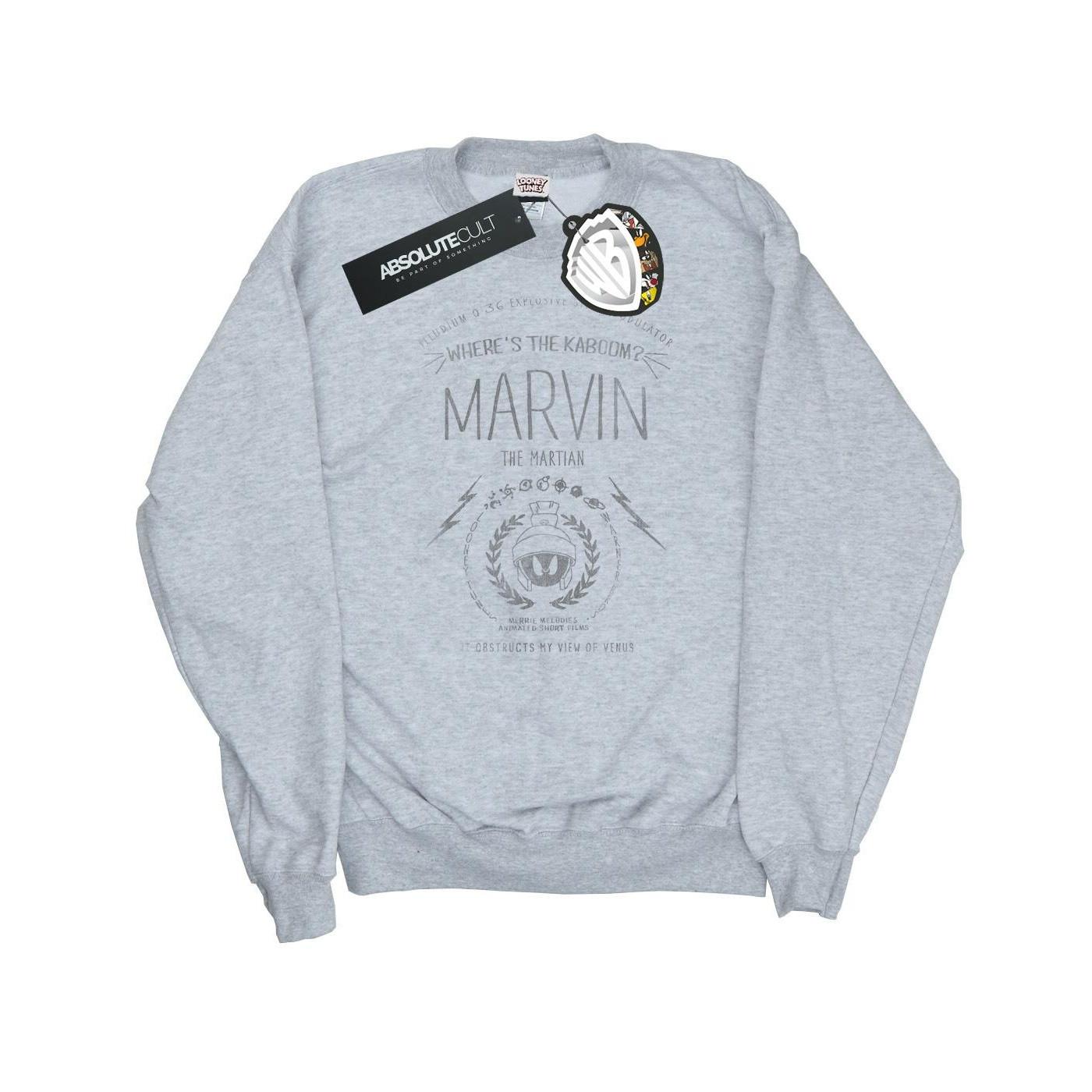 LOONEY TUNES Where's The Kaboom Sweatshirt