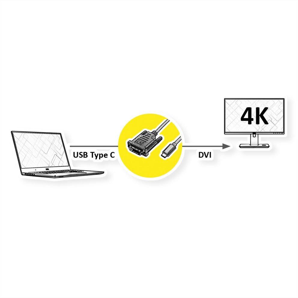 Roline ROLINE 11045831 2 m DVI-D USB Typ-C Schwarz