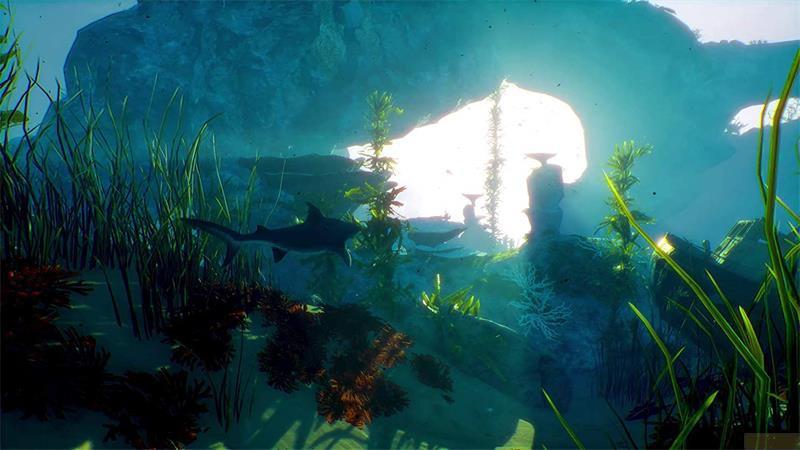 DEEP SILVER Maneater - Apex Edition