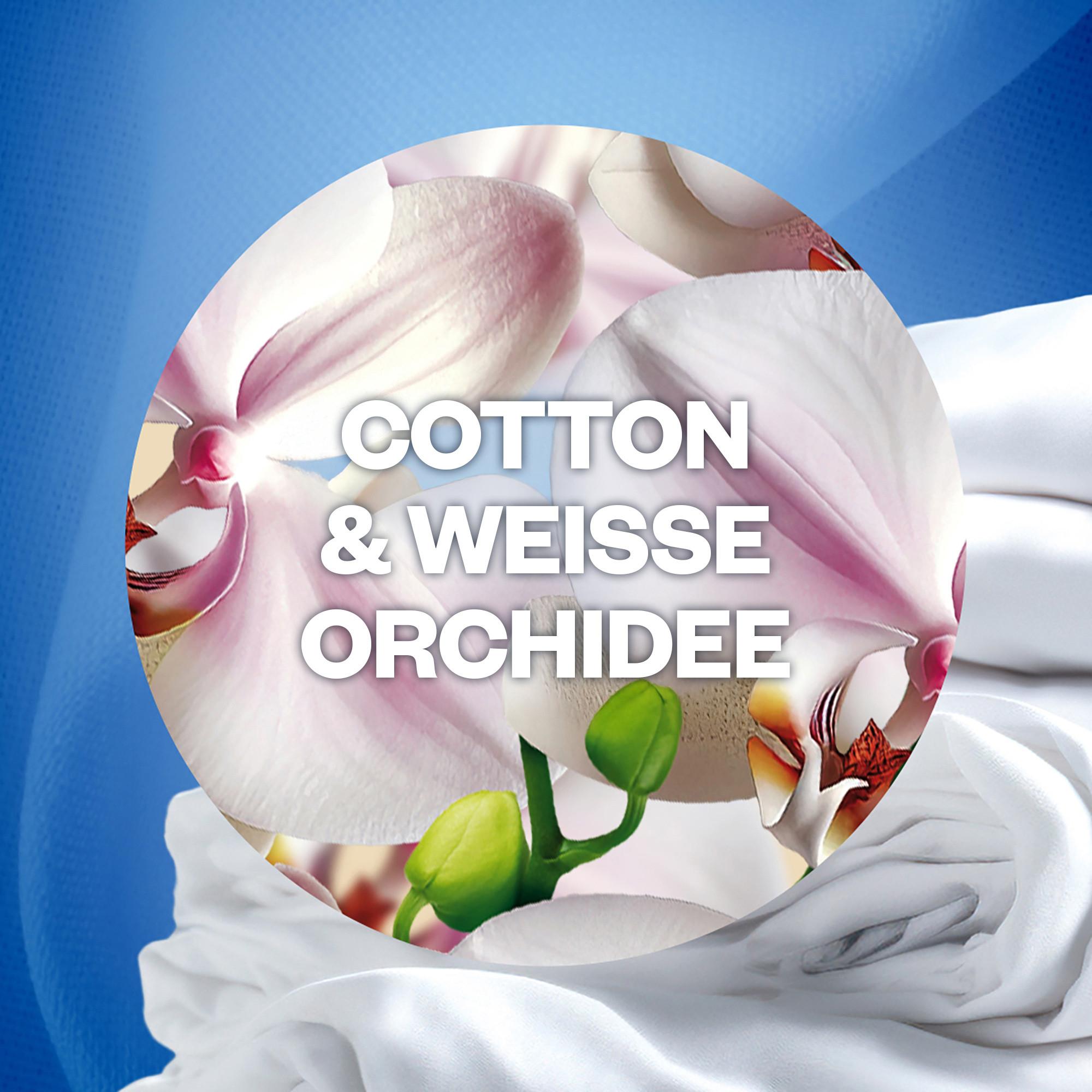 AIR WICK Nachfüllung Duftölflakon Cotton & White orchid