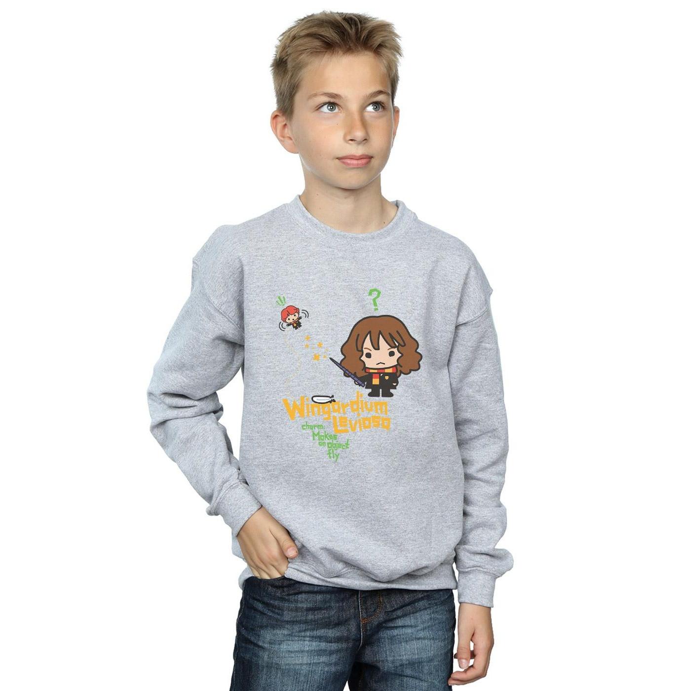 Harry Potter Wingardium Leviosa Sweatshirt