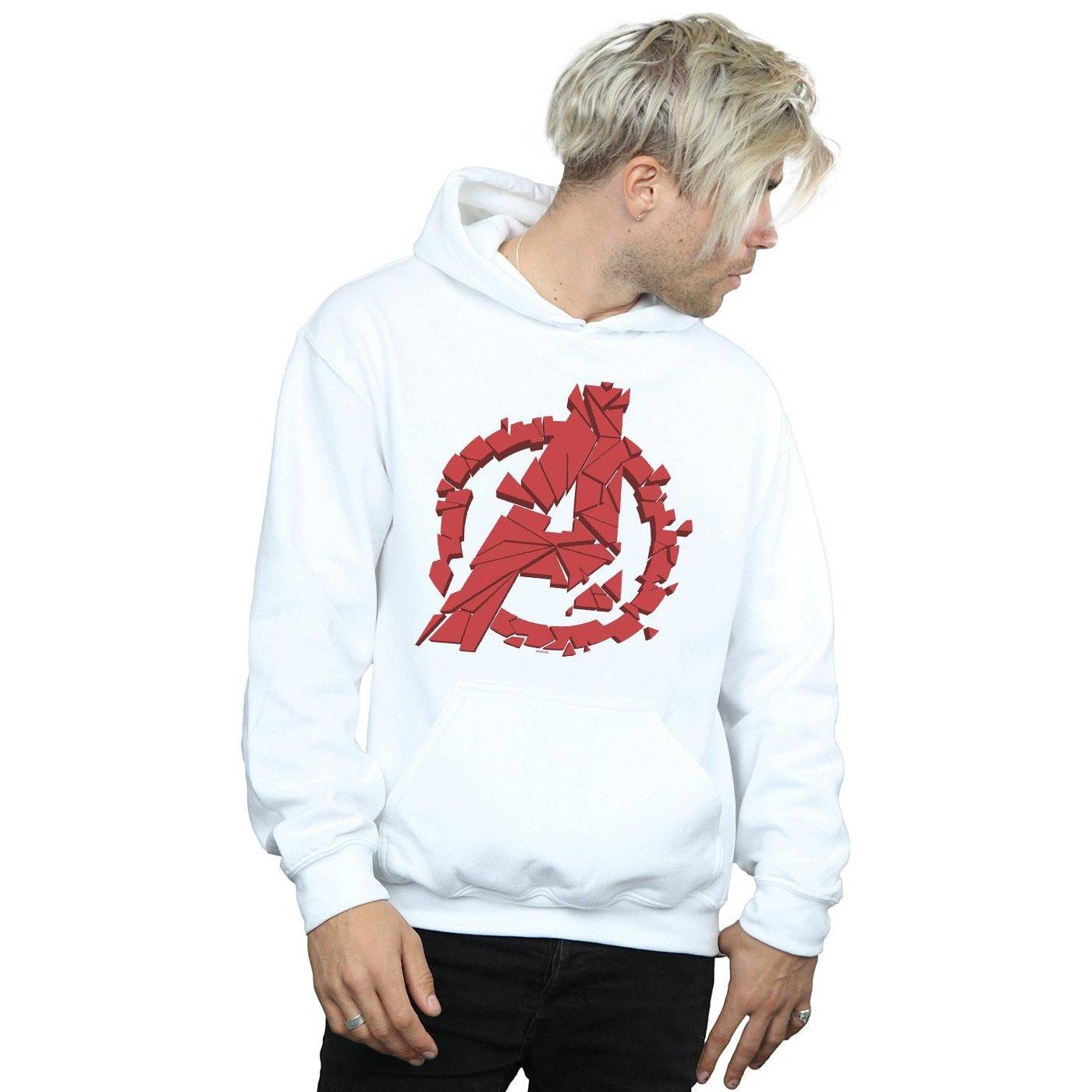 MARVEL Avengers Endgameed Kapuzenpullover