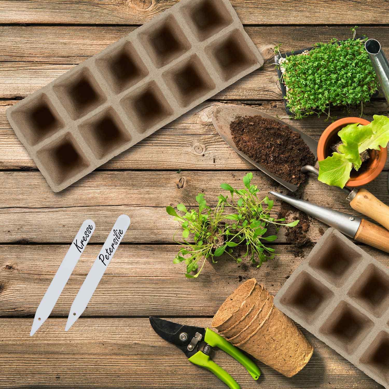 B2X Anzuchttöpfe, 200 Stück, mit Etikett