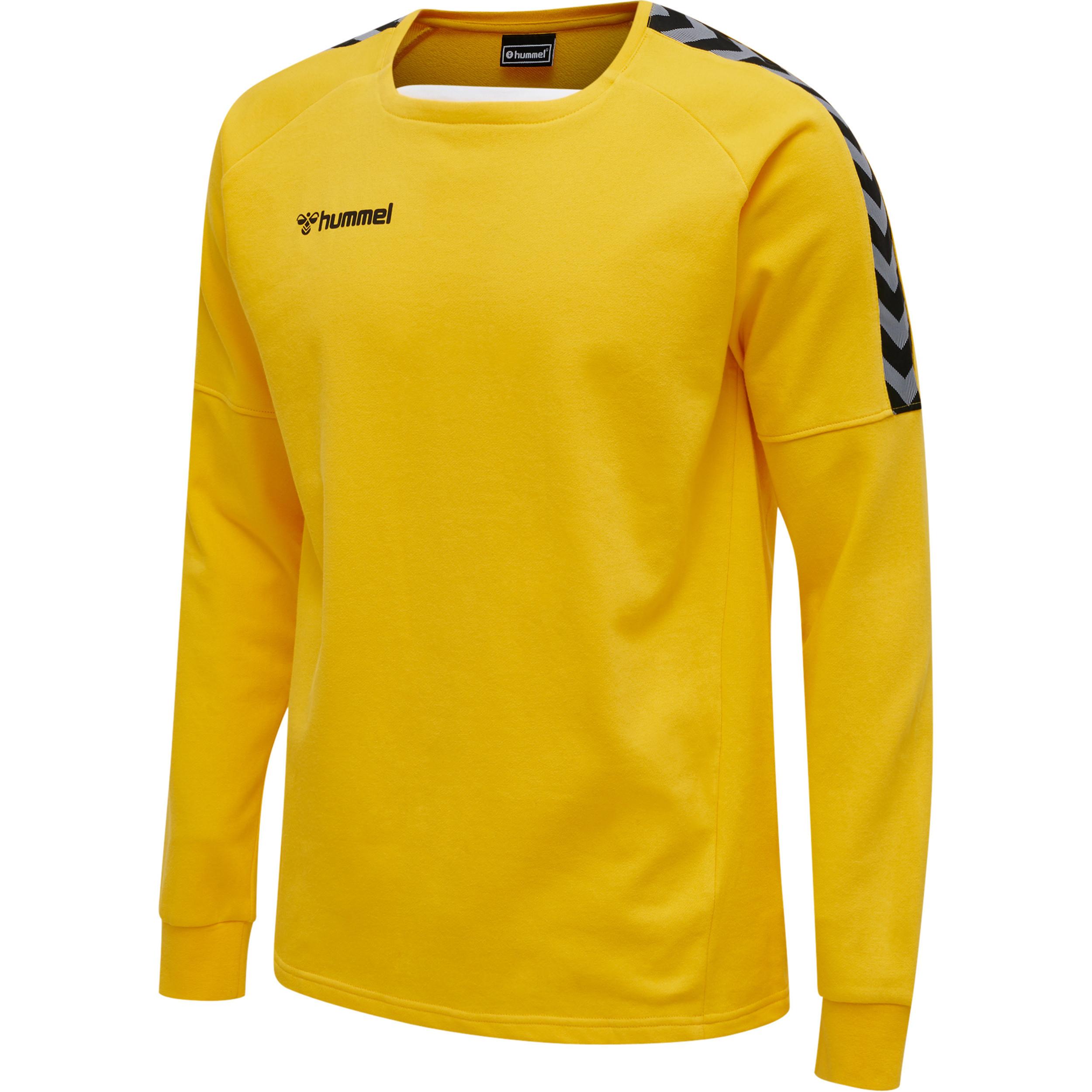 Hummel pullover huel hlauthentic training