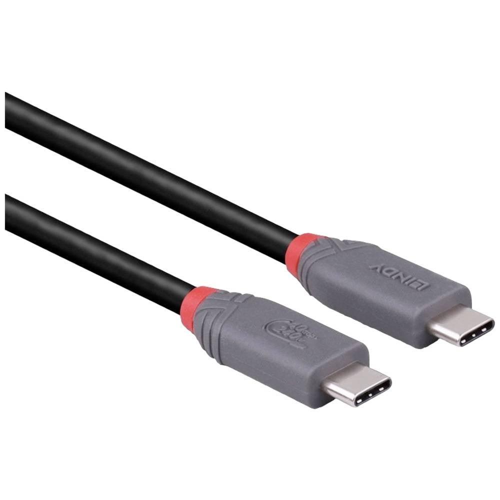 LINDY 2m USB 4 240W Typ C Kabel, Anthra Line