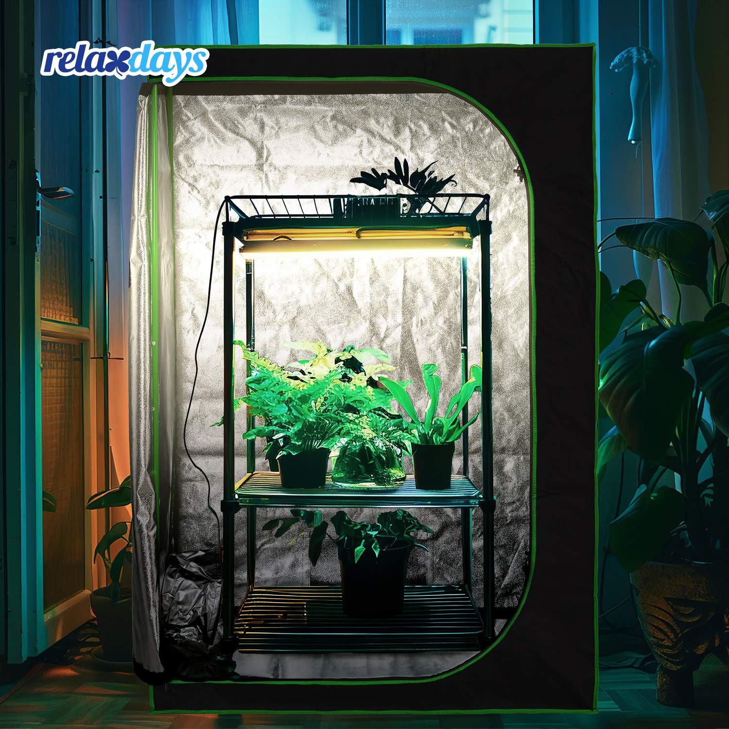 Northio Growbox drinnen anbauen