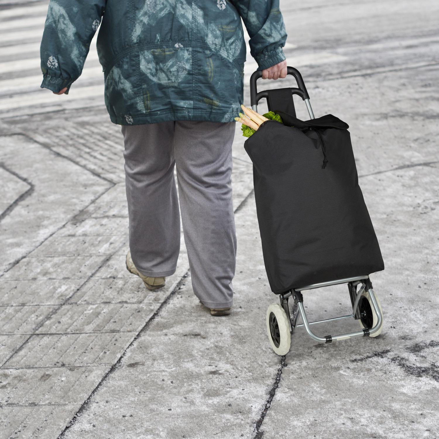 B2X Zusammenklappbarer Einkaufswagen