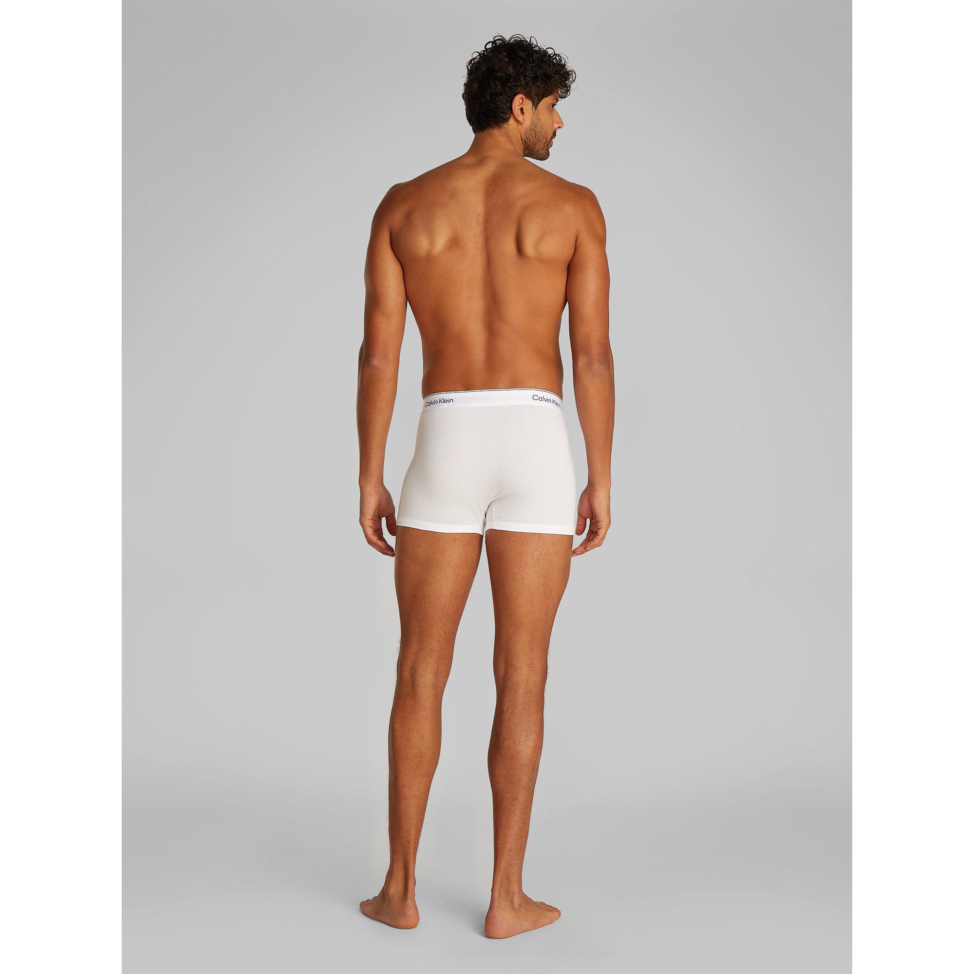 Calvin Klein RELAXED TRUNK 3PK Triopack, Pantys