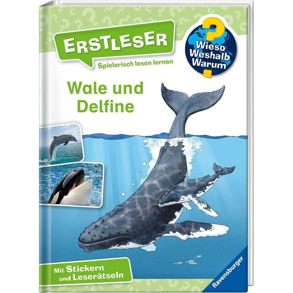 Wieso? Weshalb? Warum? Erstleser, Band 3: Wale und Delfine Noa, Sandra; Vohwinkel, Astrid (Illustrationen) Gebundene Ausgabe