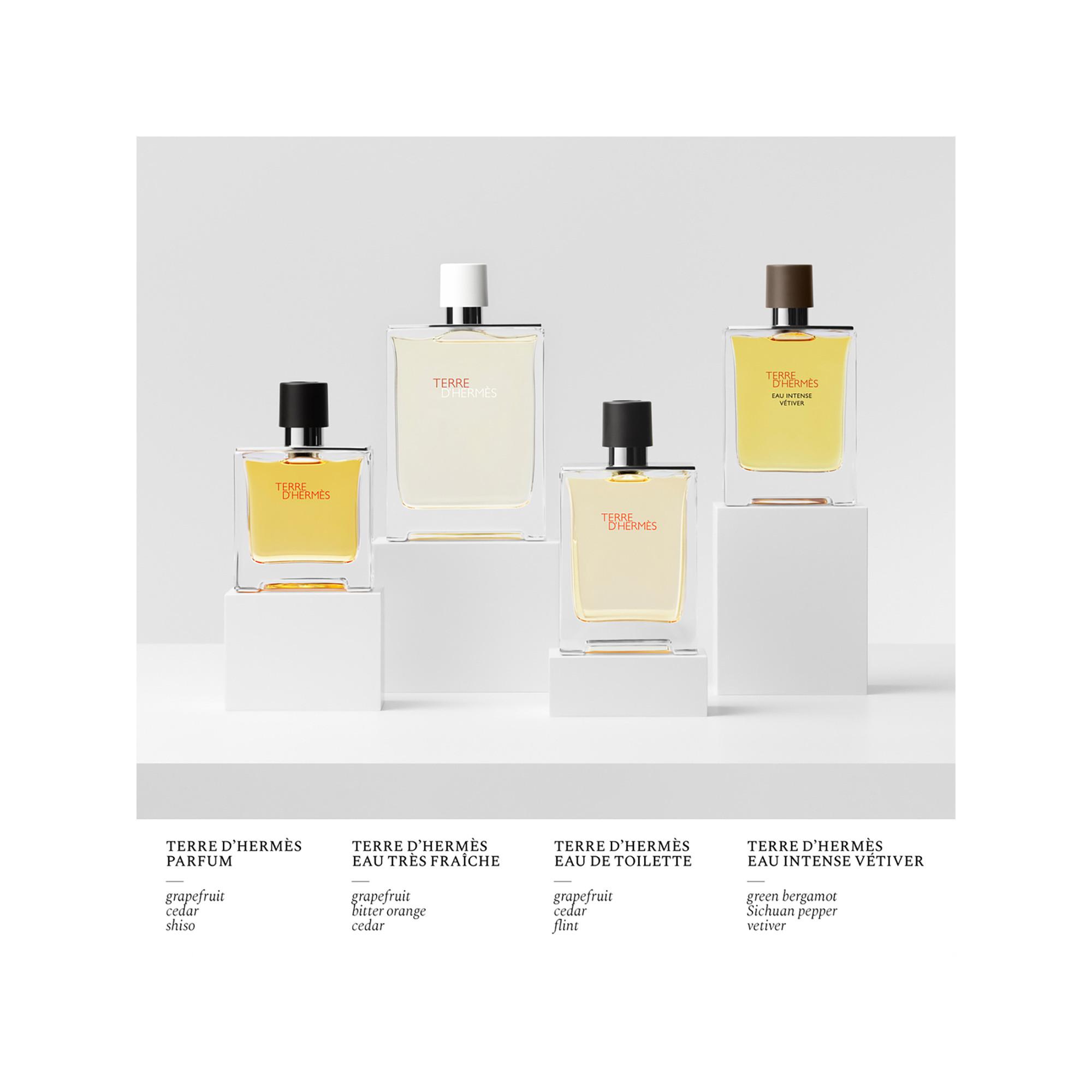 HERMÈS Terre d'Hermès, Eau de Toilette