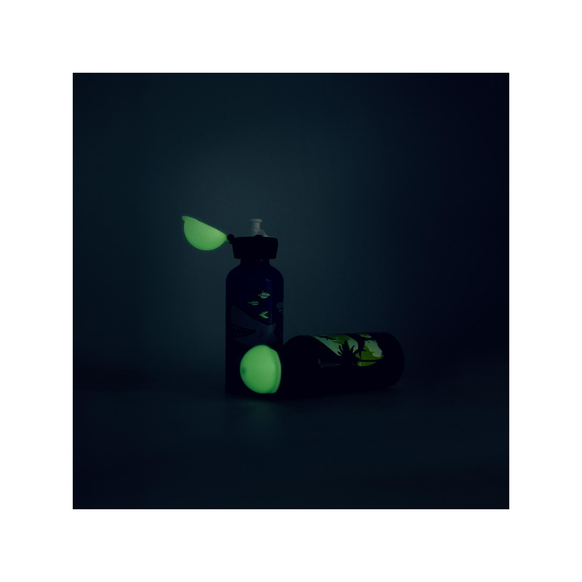 SIGG Trinkflasche Glow Moon Dinos