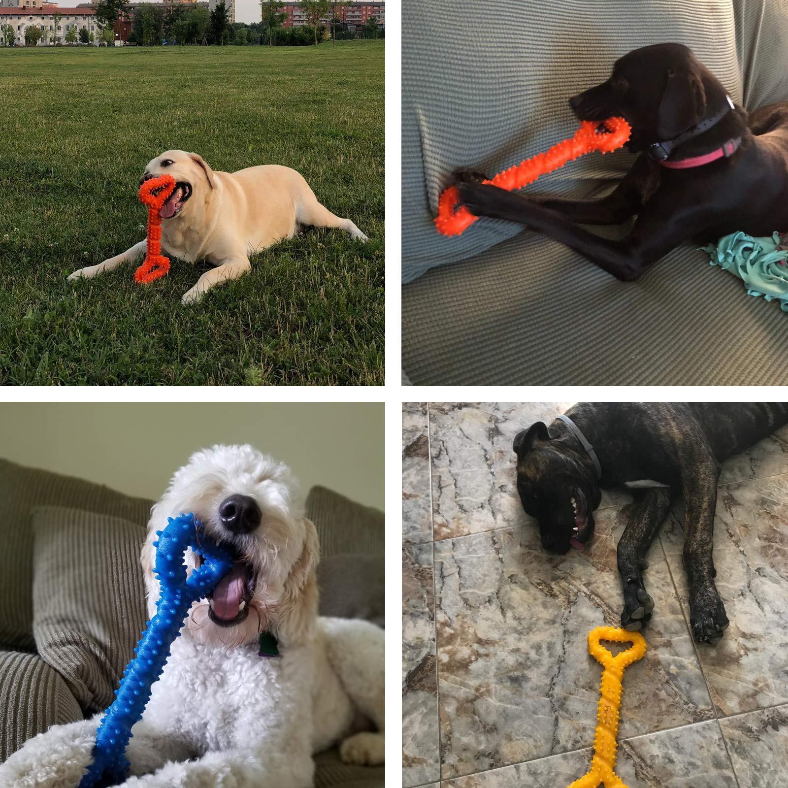 Alopini Robustes Hundespielzeug in Form eines Kauknochens aus Hartgummi mit konvexem Design