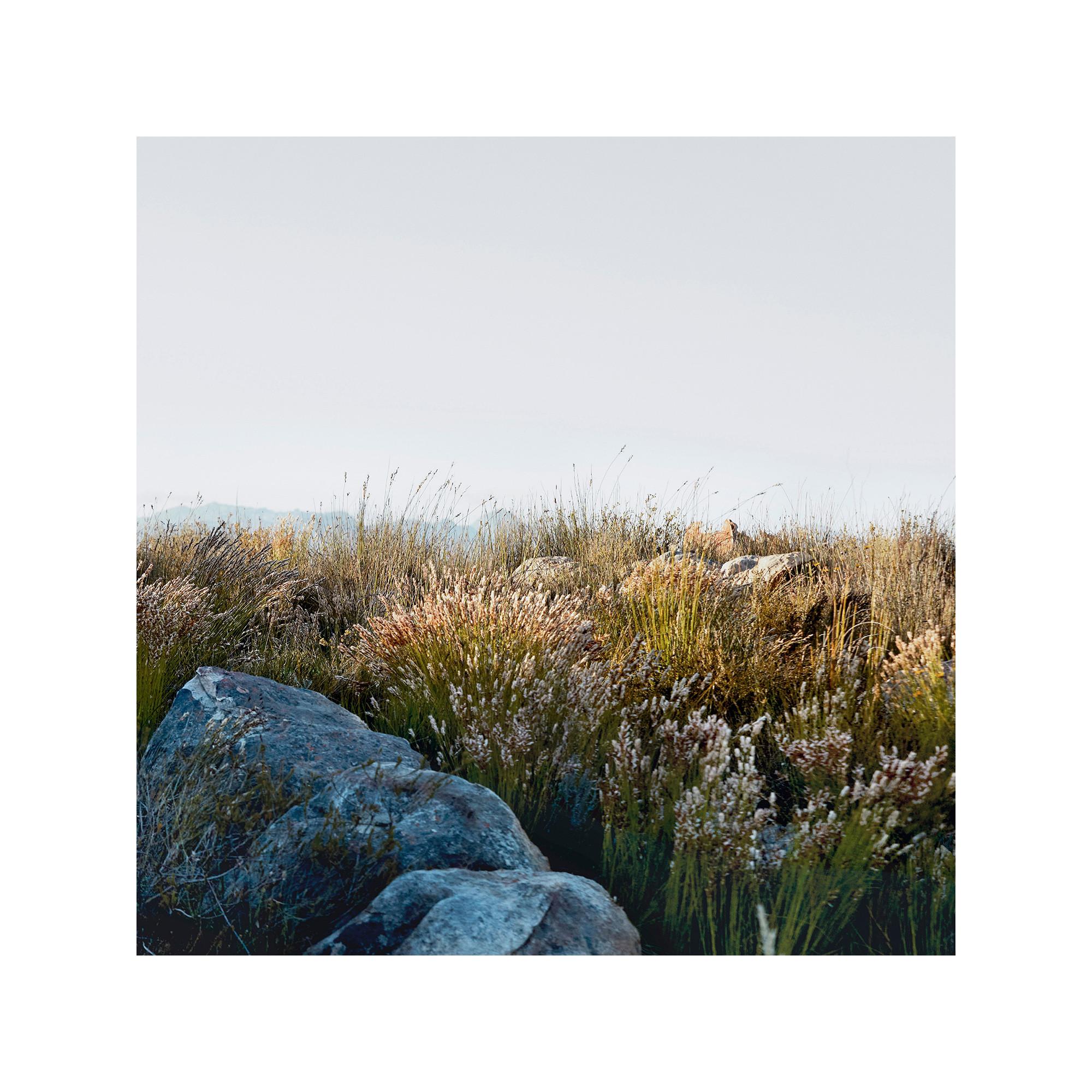 BURBERRY Goddess Eau de Parfum Intense