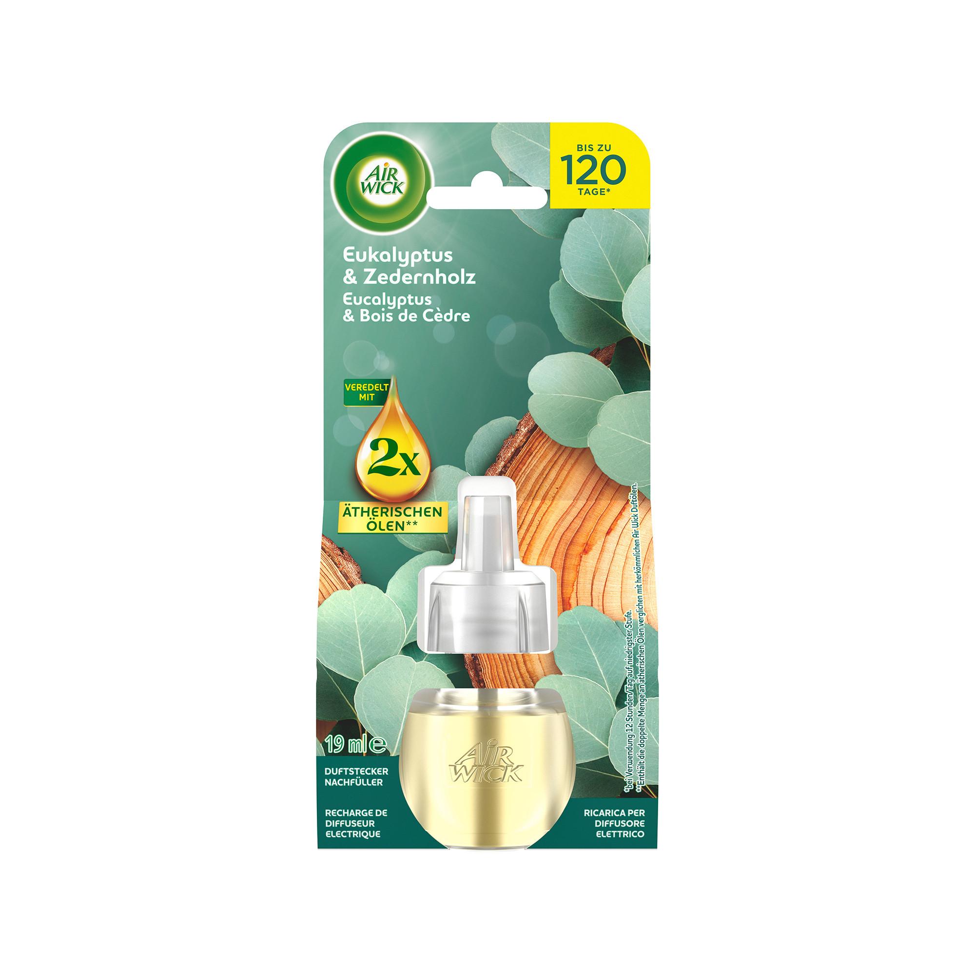 AIR WICK Nachfüllung Duftölflakon Eucalyptus & cedarwood