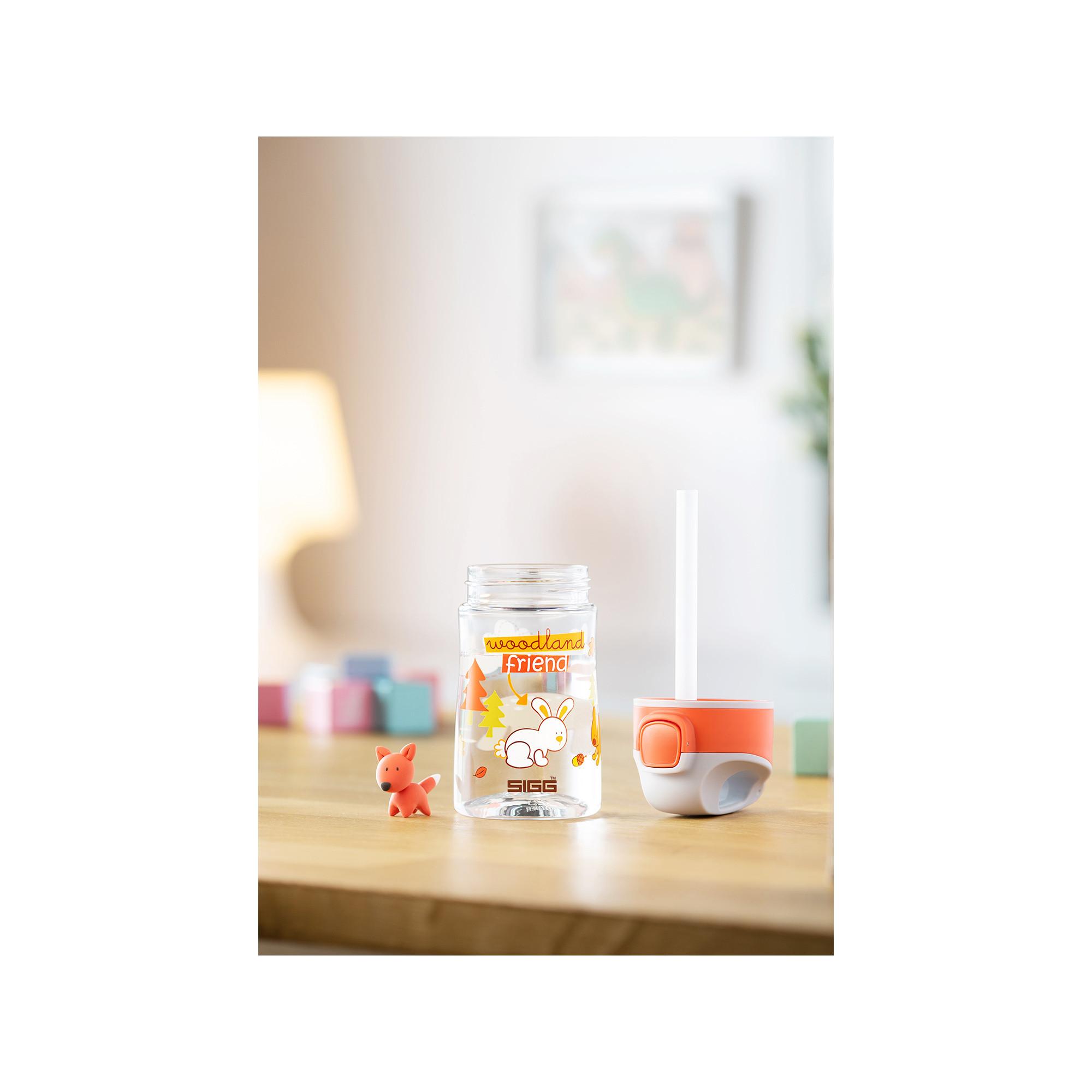 SIGG Trinkflasche Woodland Friend