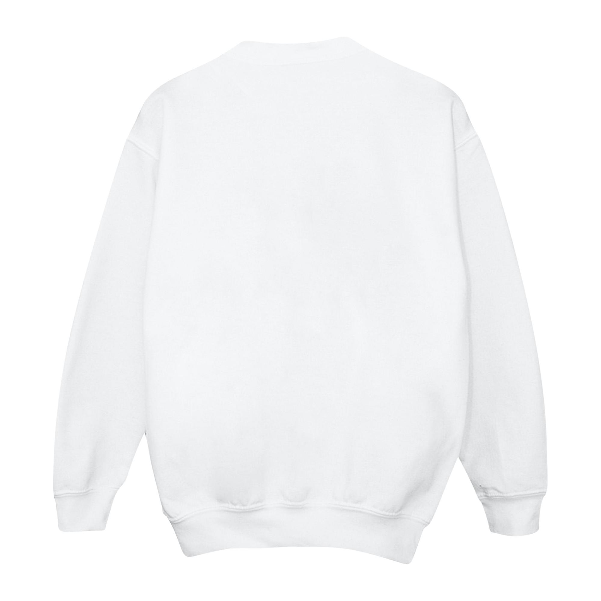 Disney Encanto Sweatshirt