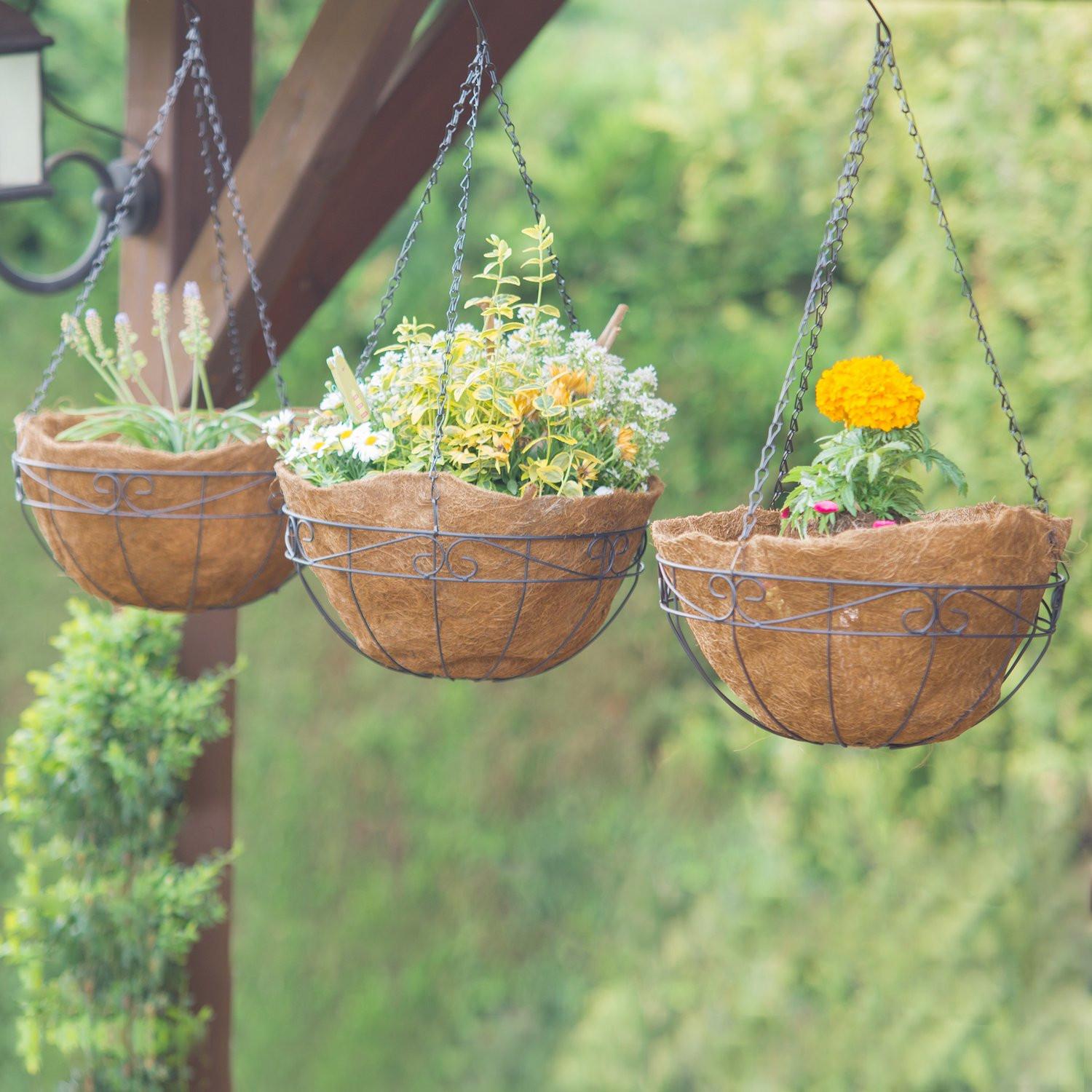 B2X Ampel Kokosfaser 3er Set