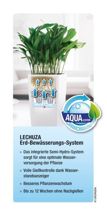 Lechuza Premium Collection CUBICO all-in-one