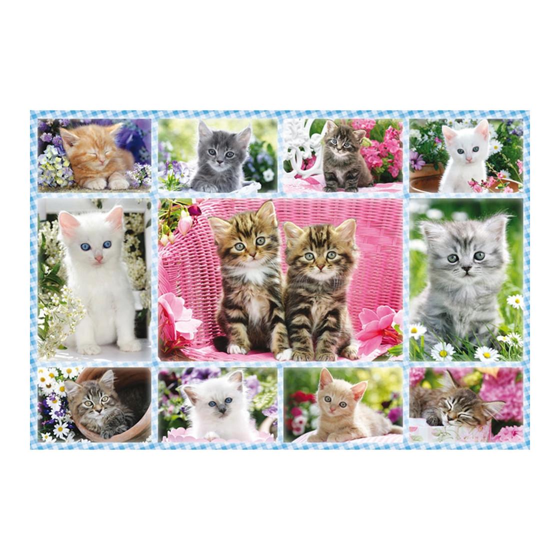 Schmidt Puzzle Katzenbabies (100Teile)