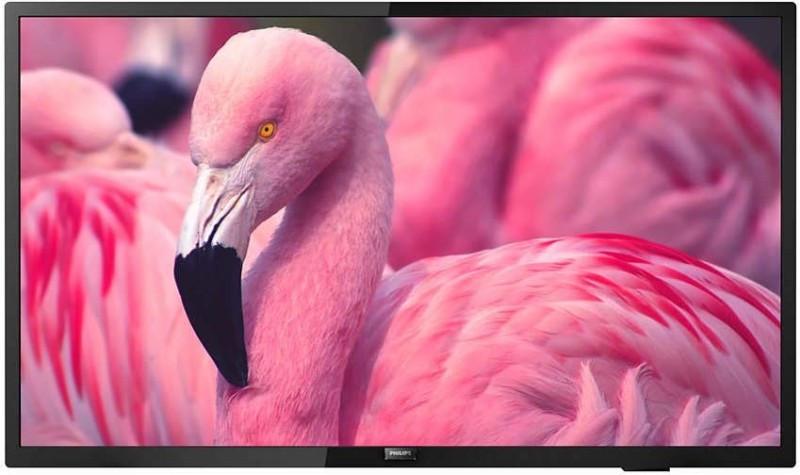 PHILIPS Hotel-TV 43HFL4014/12 43 