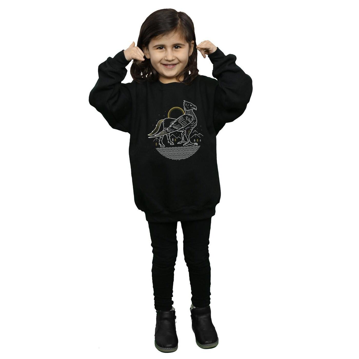 Harry Potter Sweatshirt