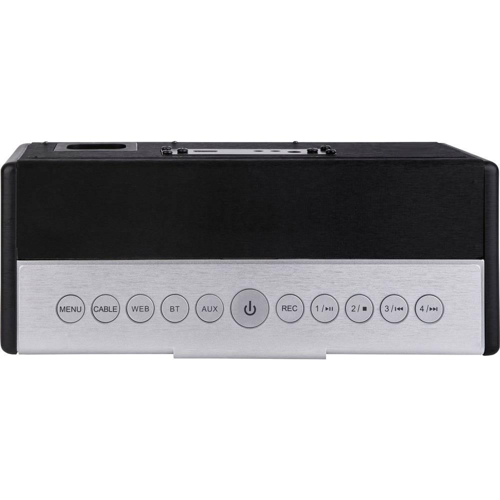 Telestar Kabelradio, DVB-C Radio, Internetradio